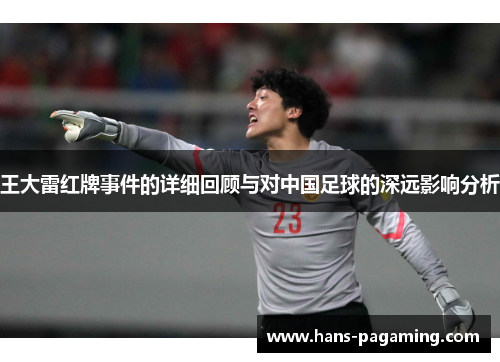王大雷红牌事件的详细回顾与对中国足球的深远影响分析