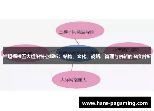 斯坦福桥五大组织特点解析：结构、文化、战略、管理与创新的深度剖析